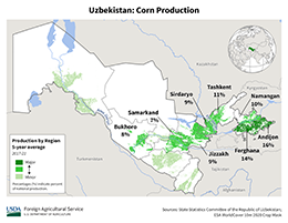images\UZ\cropprod\Uzbekistan_Corn_preview.png